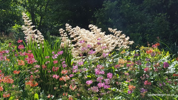 Ballyrobert Cottage Garden