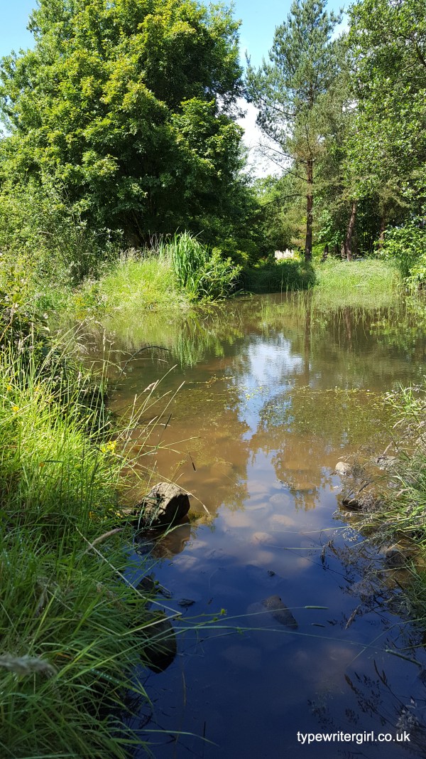 Ballyrobert Cottage Garden