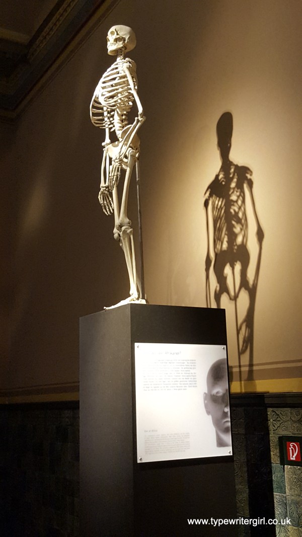 museum5