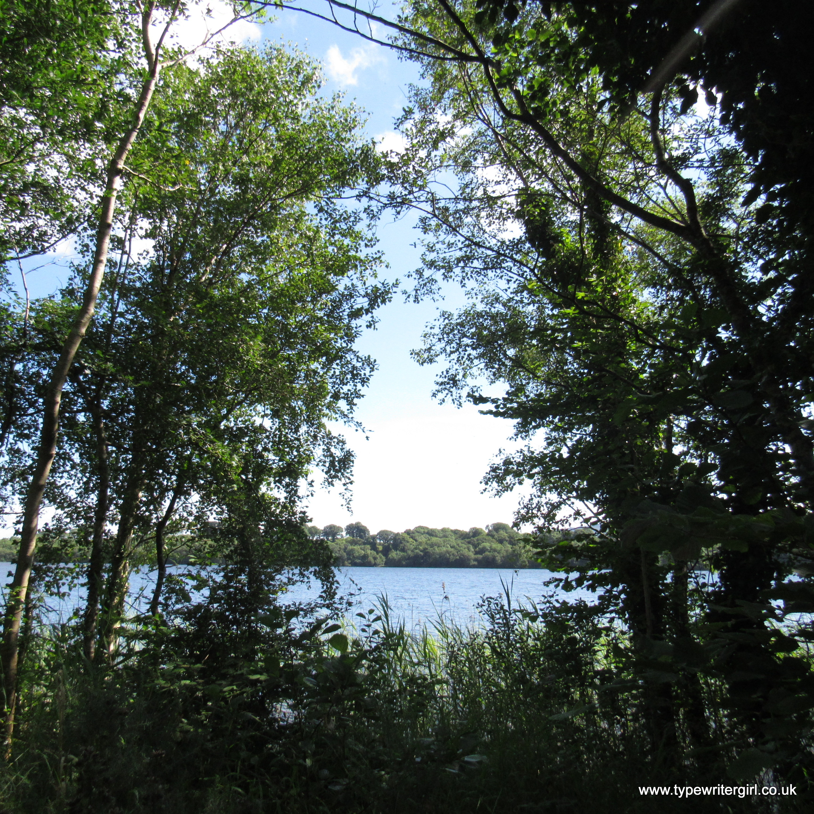 a view of the lake through the trees at Finn Lough