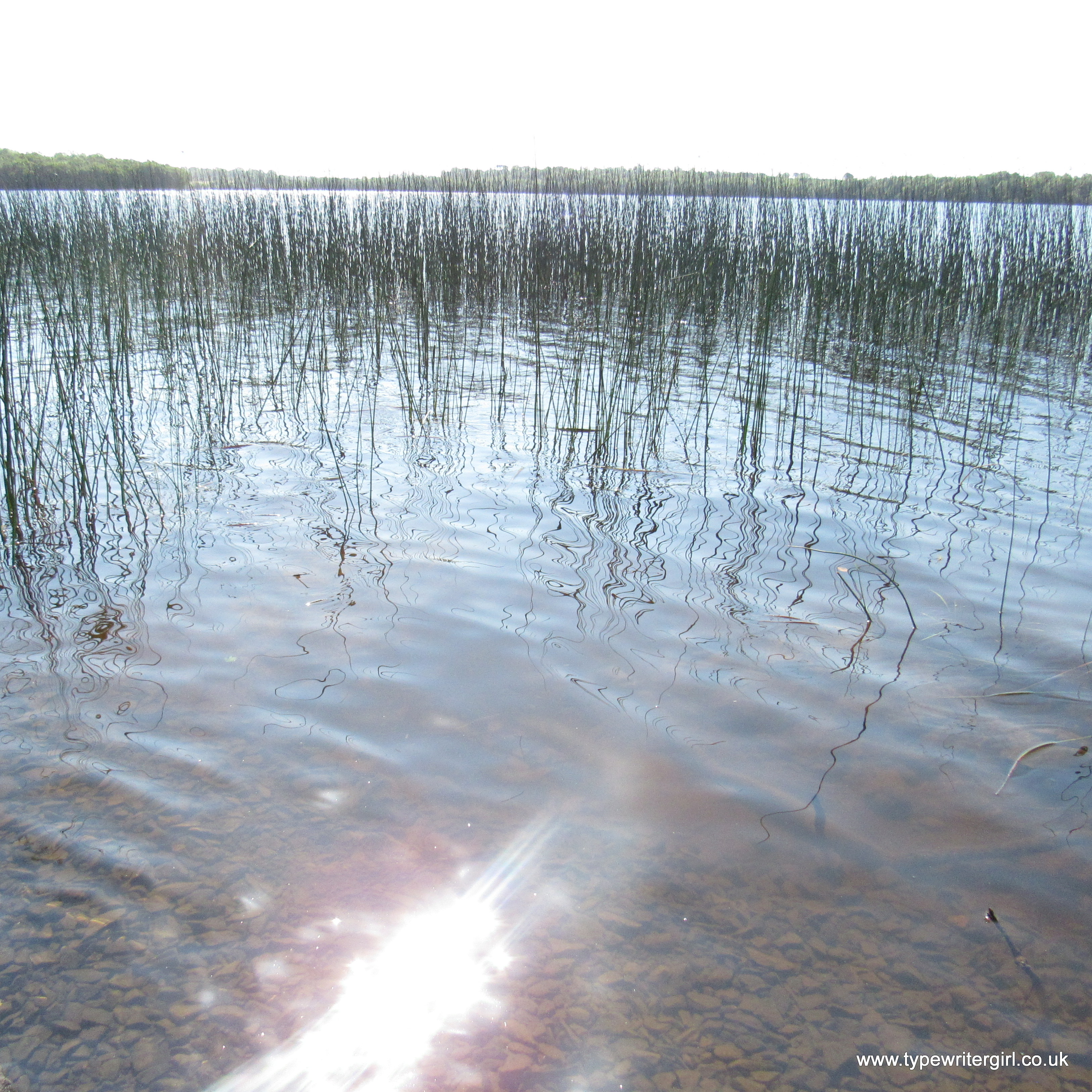 glistening water on the lake at Finn Lough