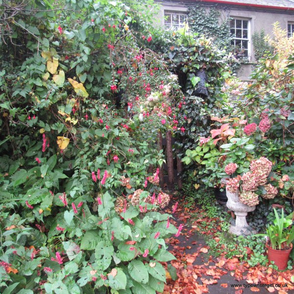 autumn vibes in Seaforde village County Down