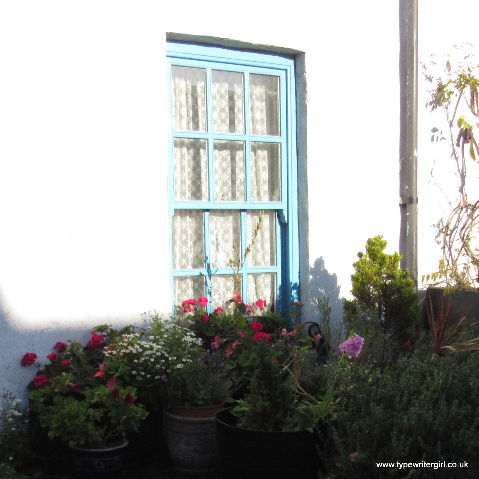 sash window