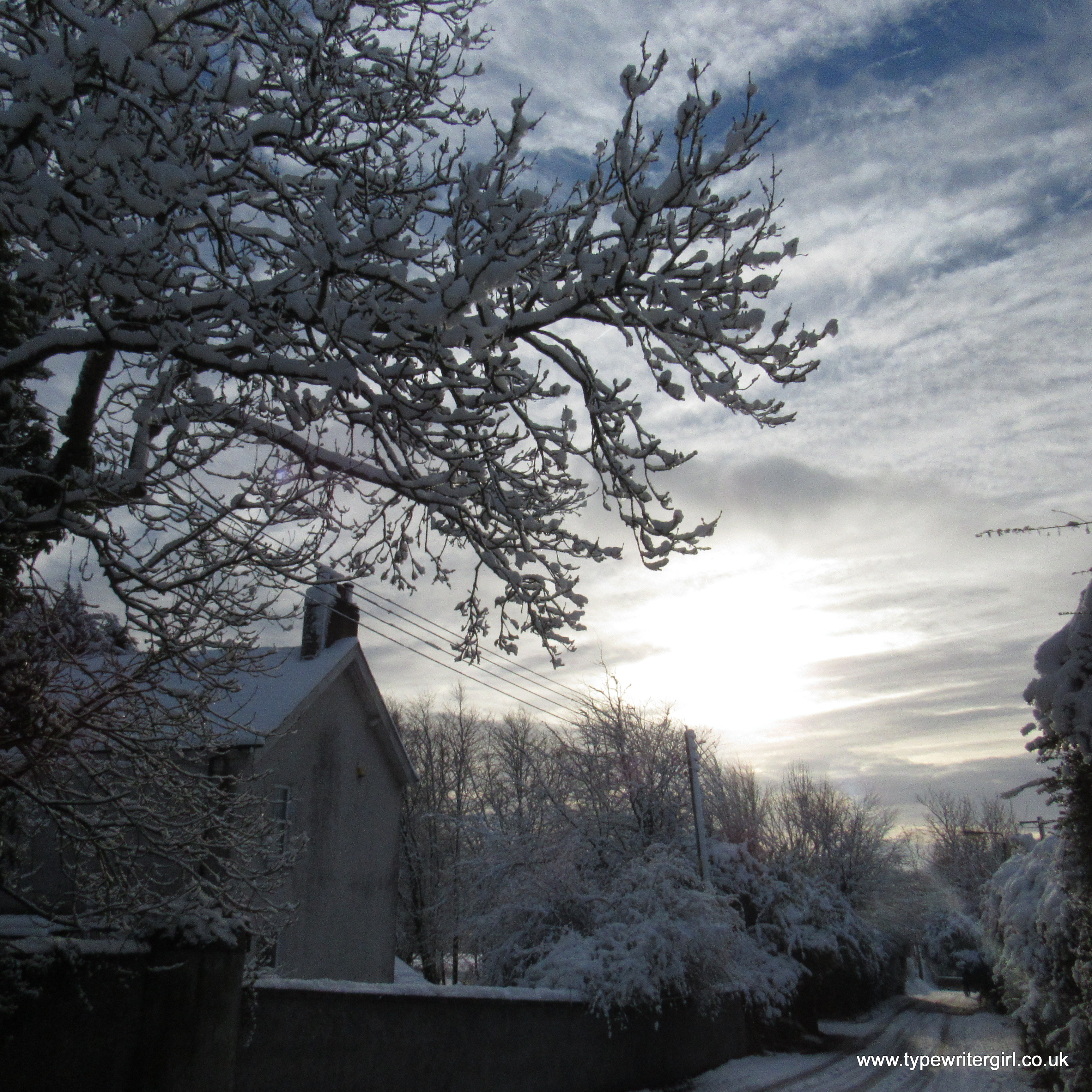winter light on a snowy morning