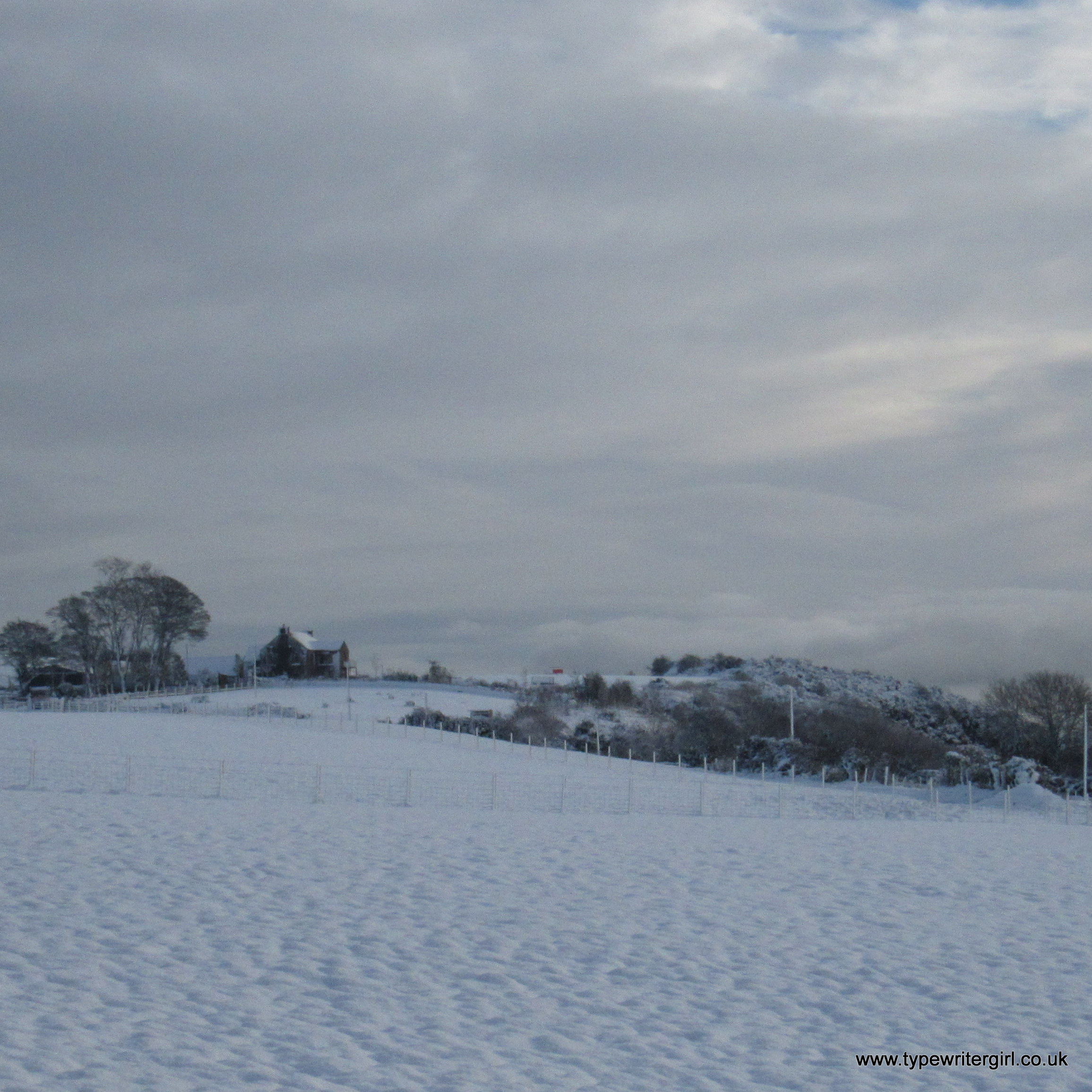 a winter wonderland near Carnmoney Hill
