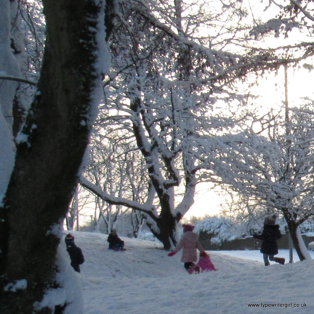children playing in the snow