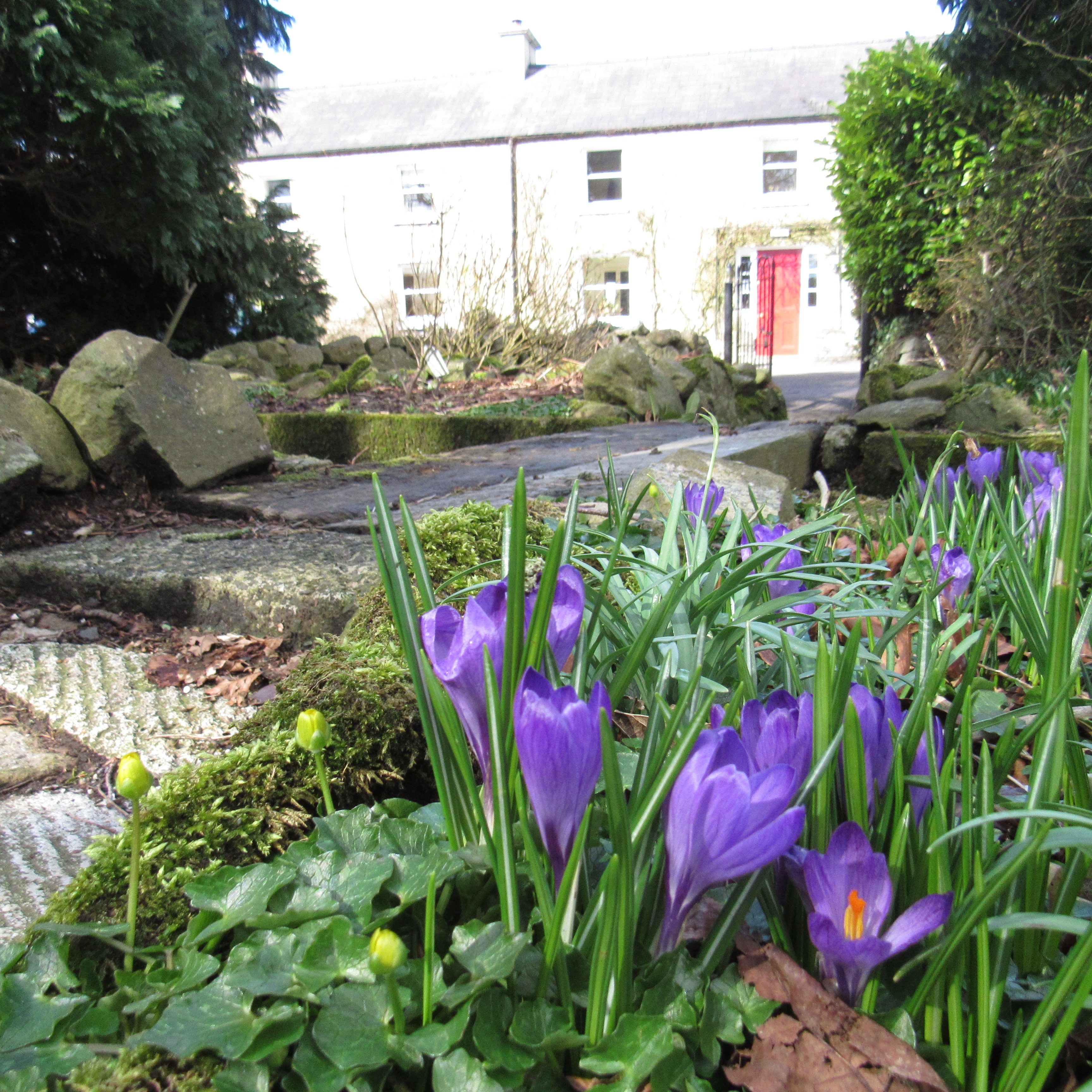 Ballylagan Organic Farm