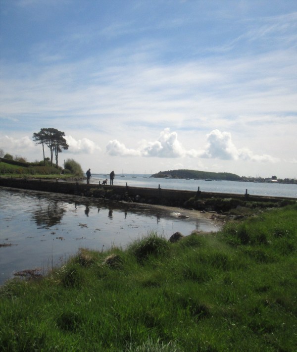 strangford lough 1