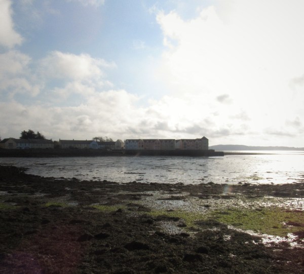 strangford lough 12