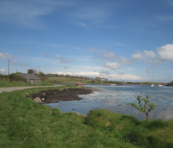 strangford lough 2