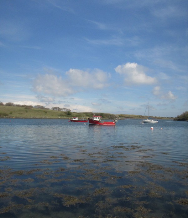 strangford lough 4