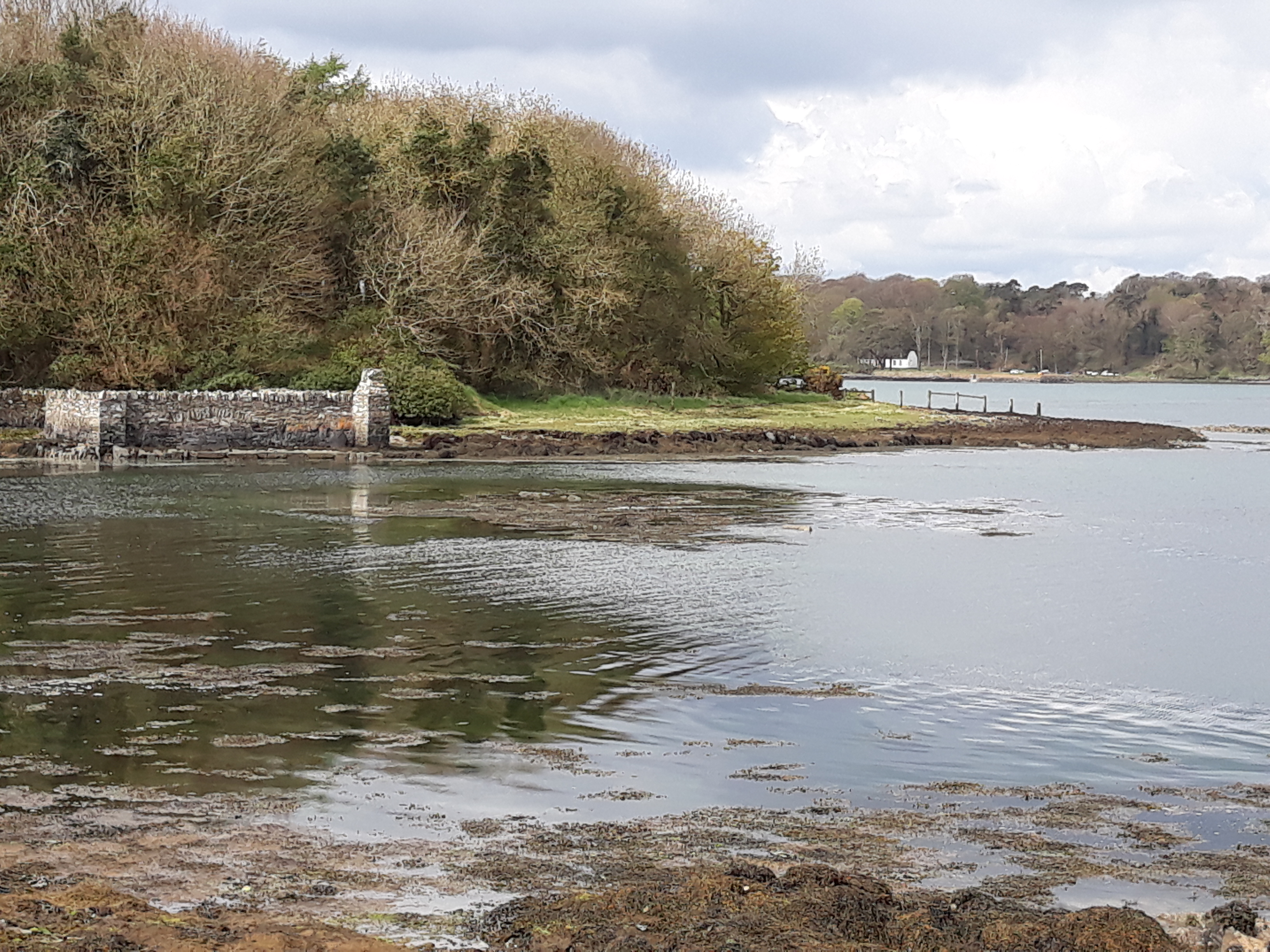 Strangford Lough