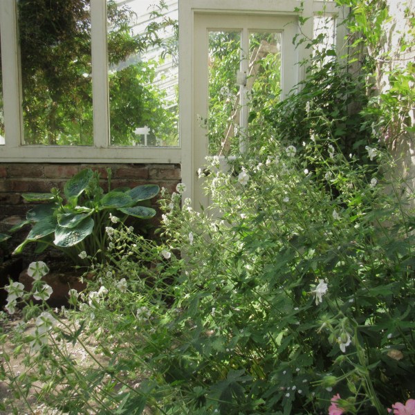 Benvarden Gardens
