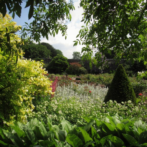 Benvarden Gardens