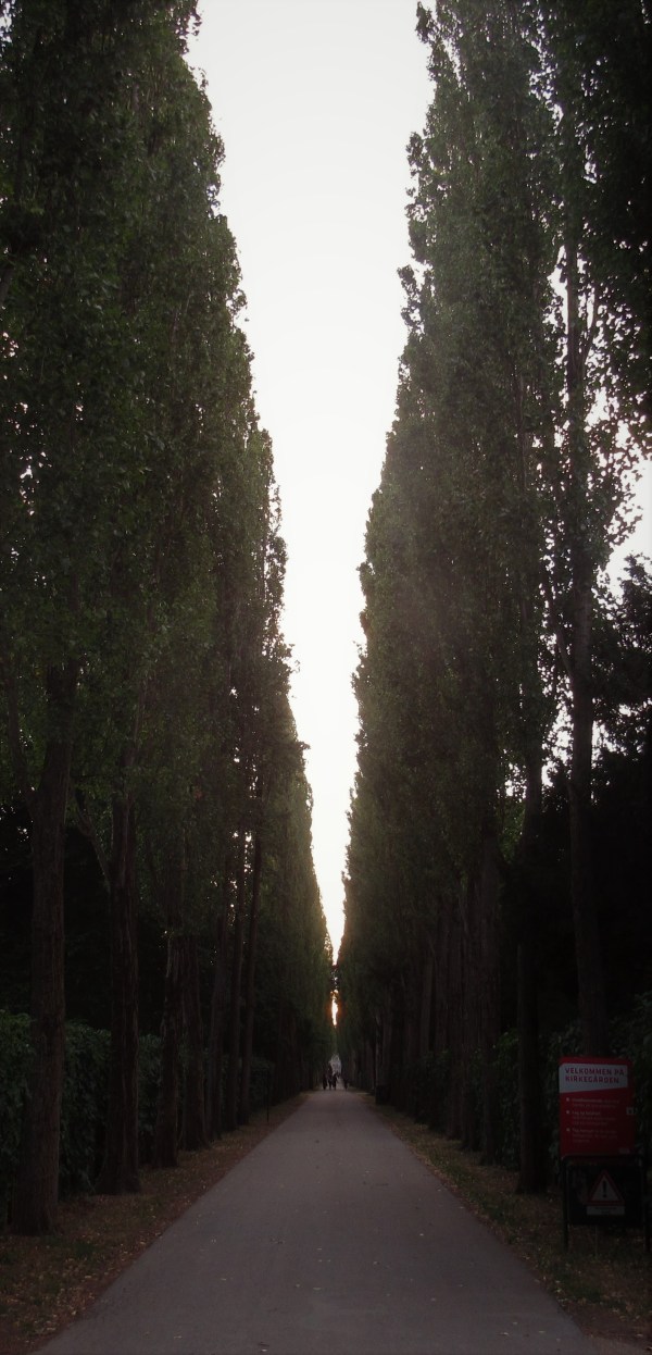 Copenhagen's green spaces - Assistens Cemetery