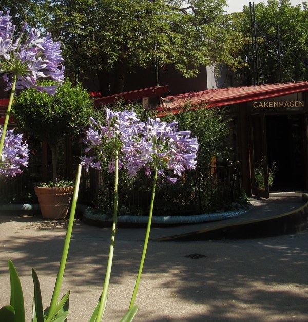 Tivoli Gardens