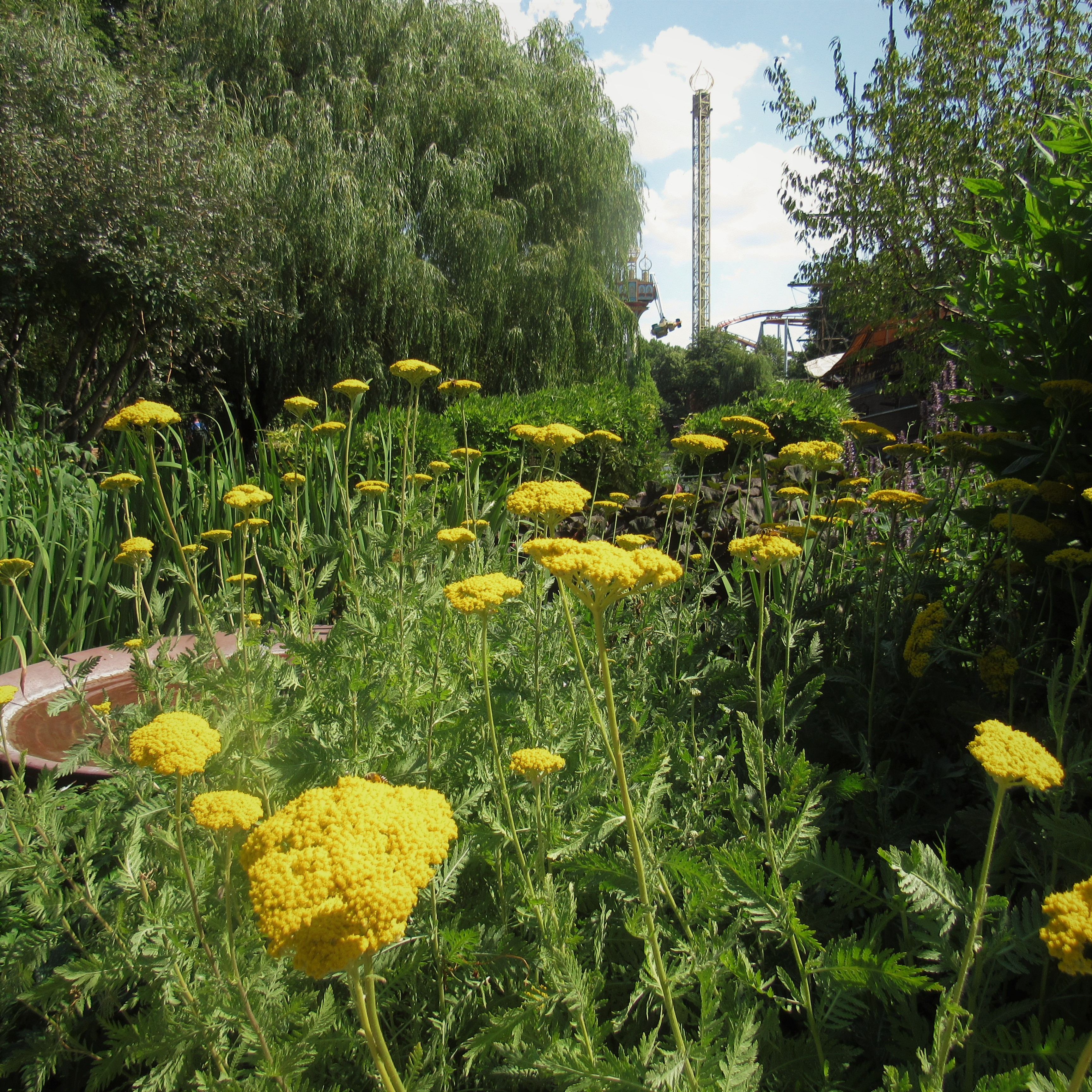 Tivoli Gardens