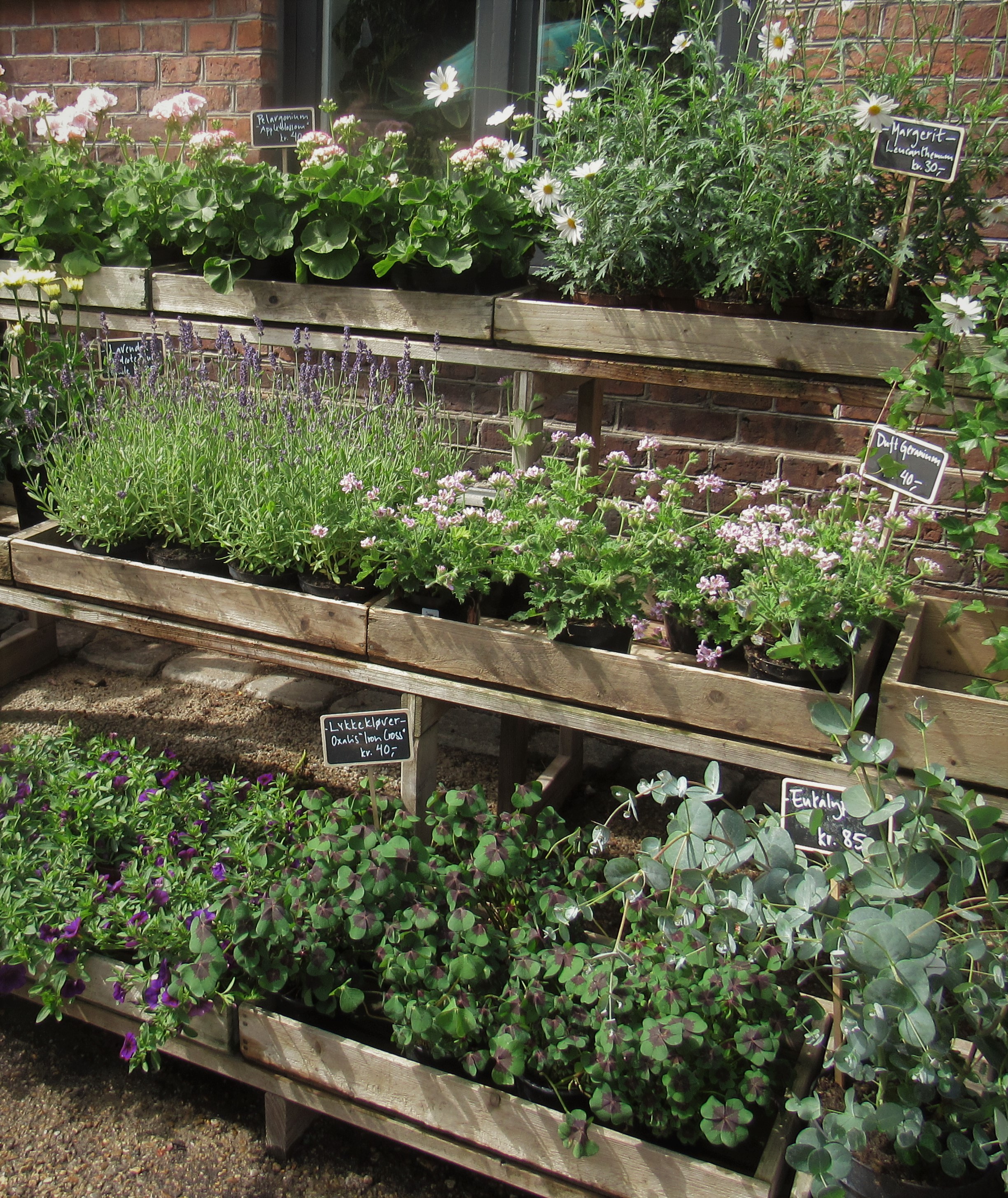 Copenhagen Botanical Gardens