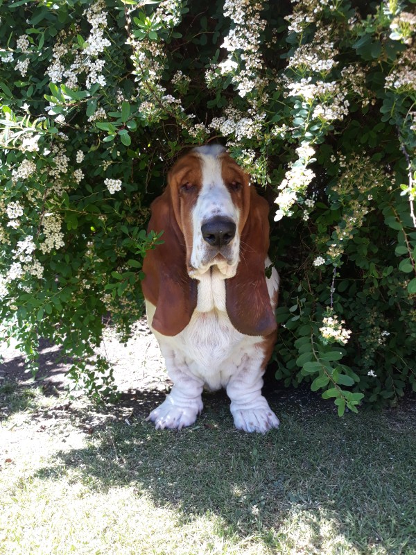 reflecting on summer