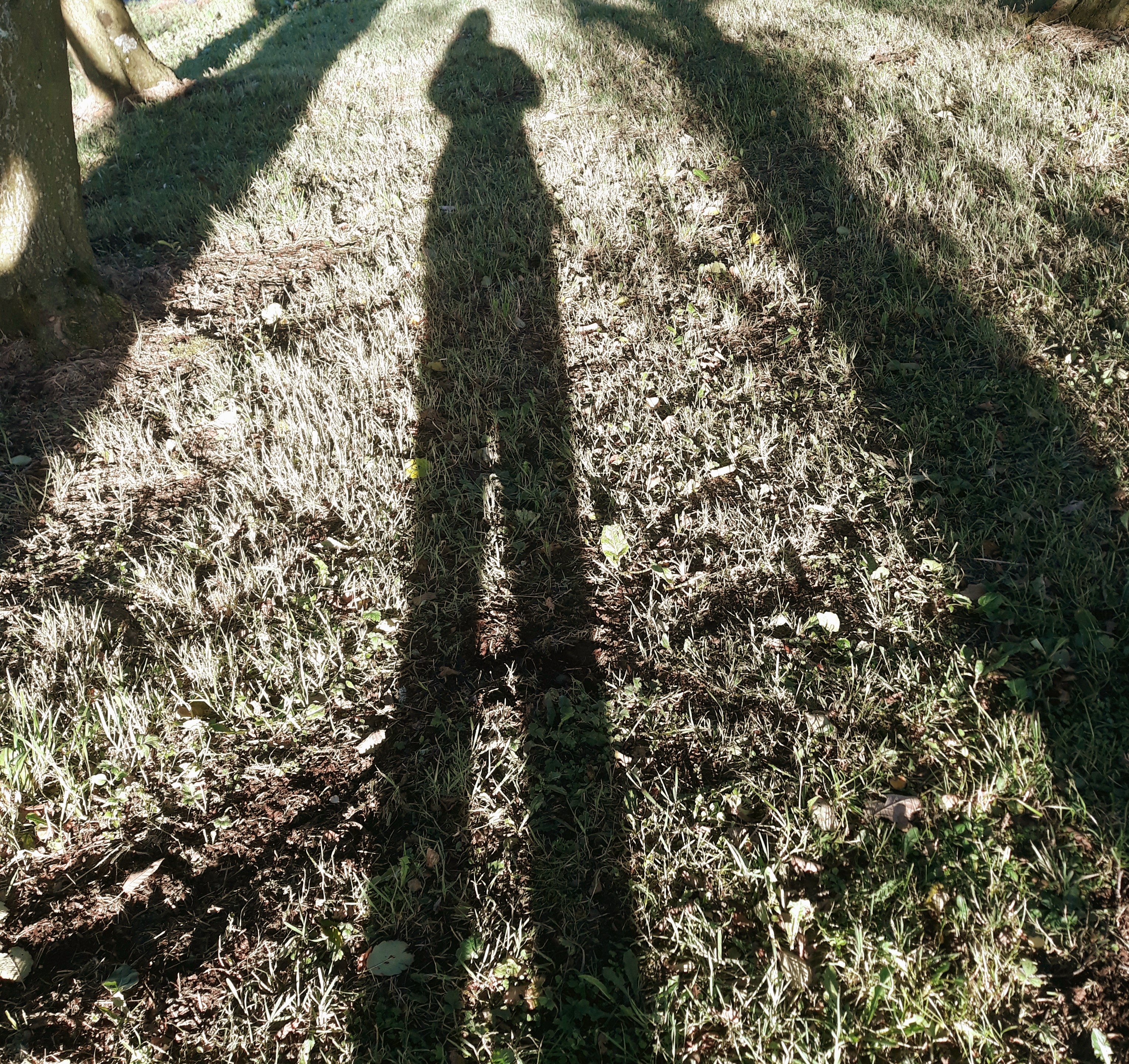 me and my shadow in the September light