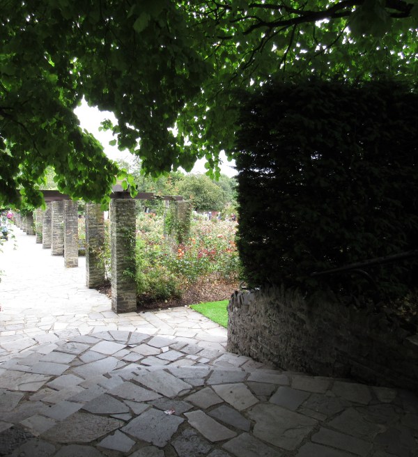 rose garden belfast