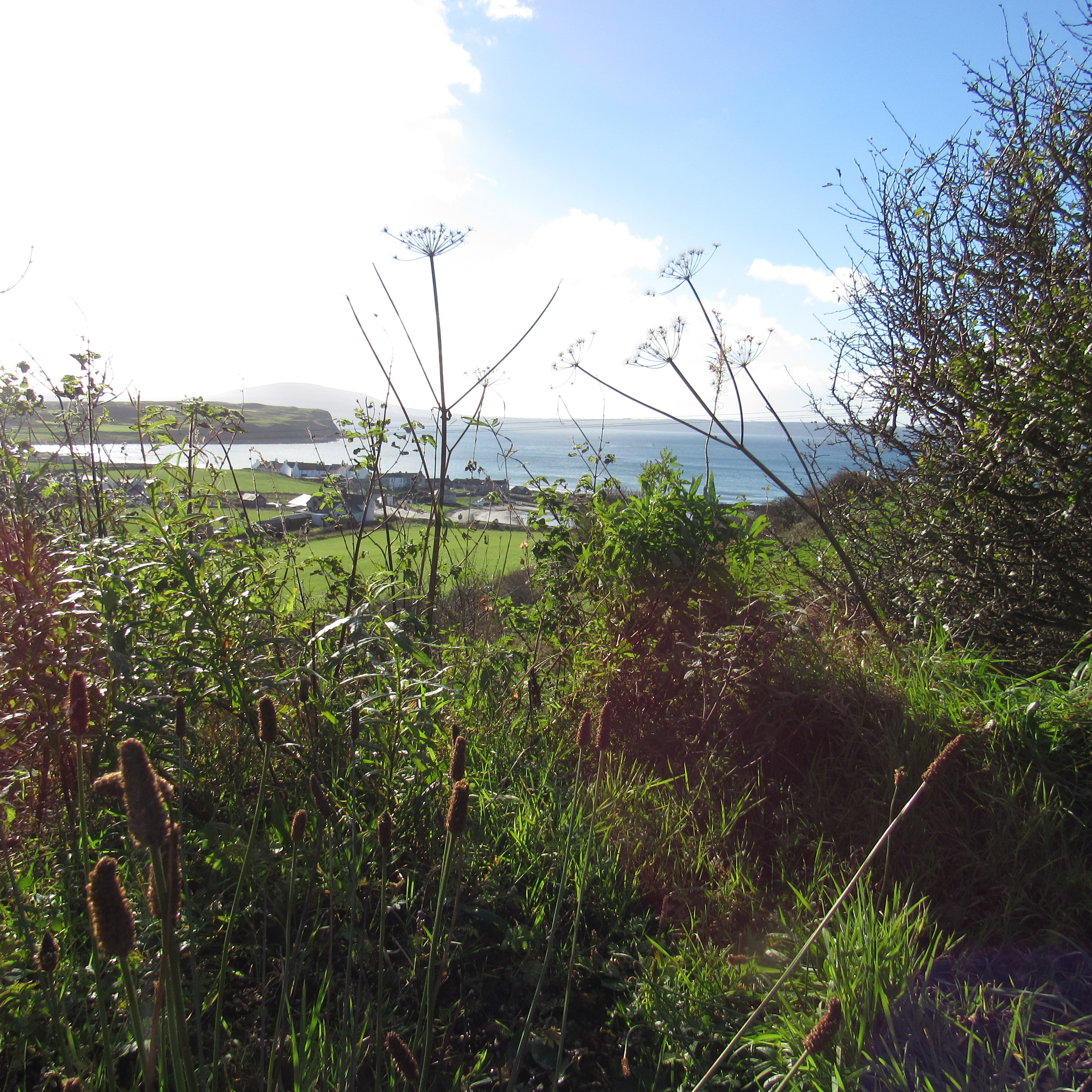 Rathlin Island 1