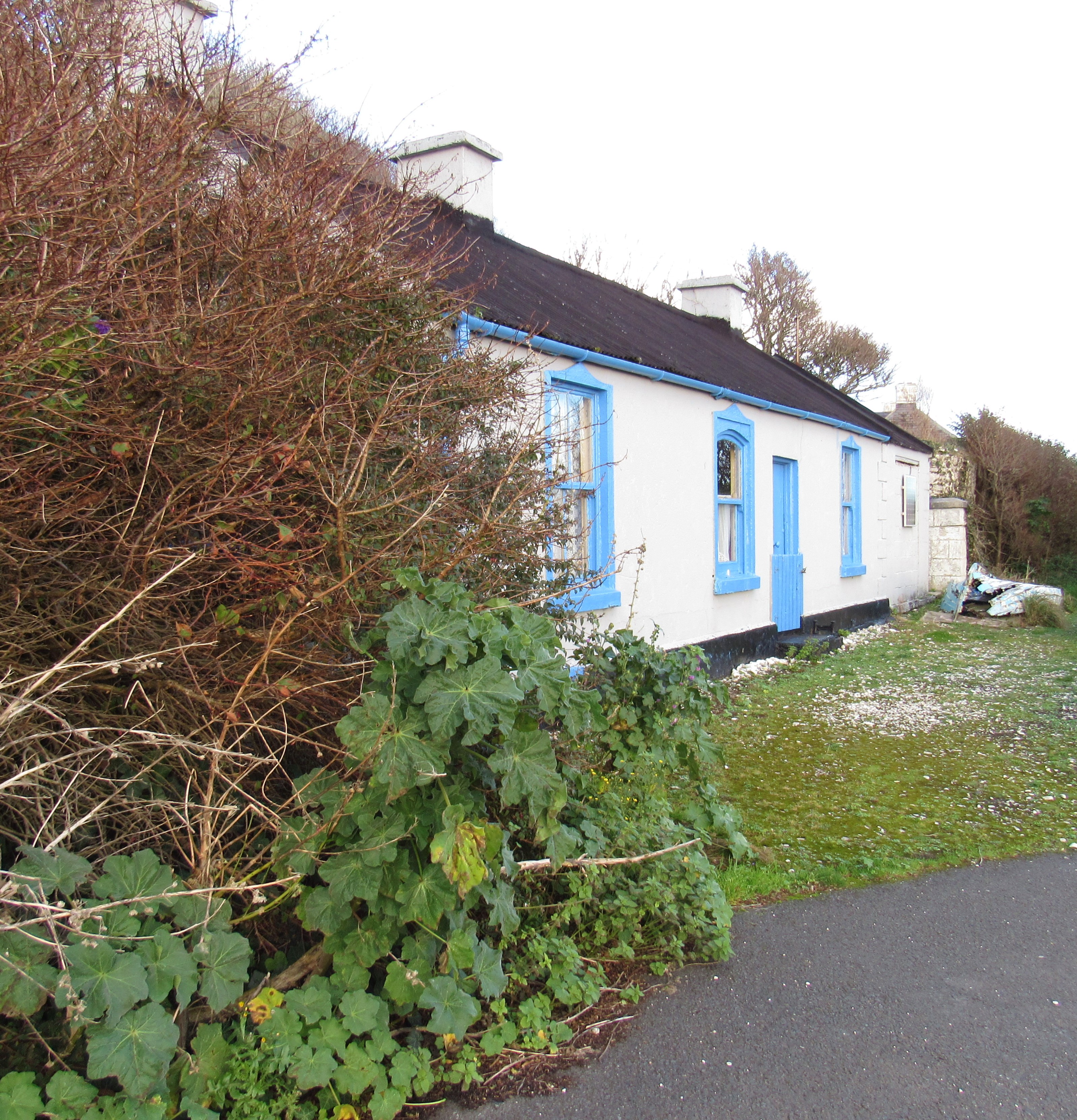 Rathlin Island 12