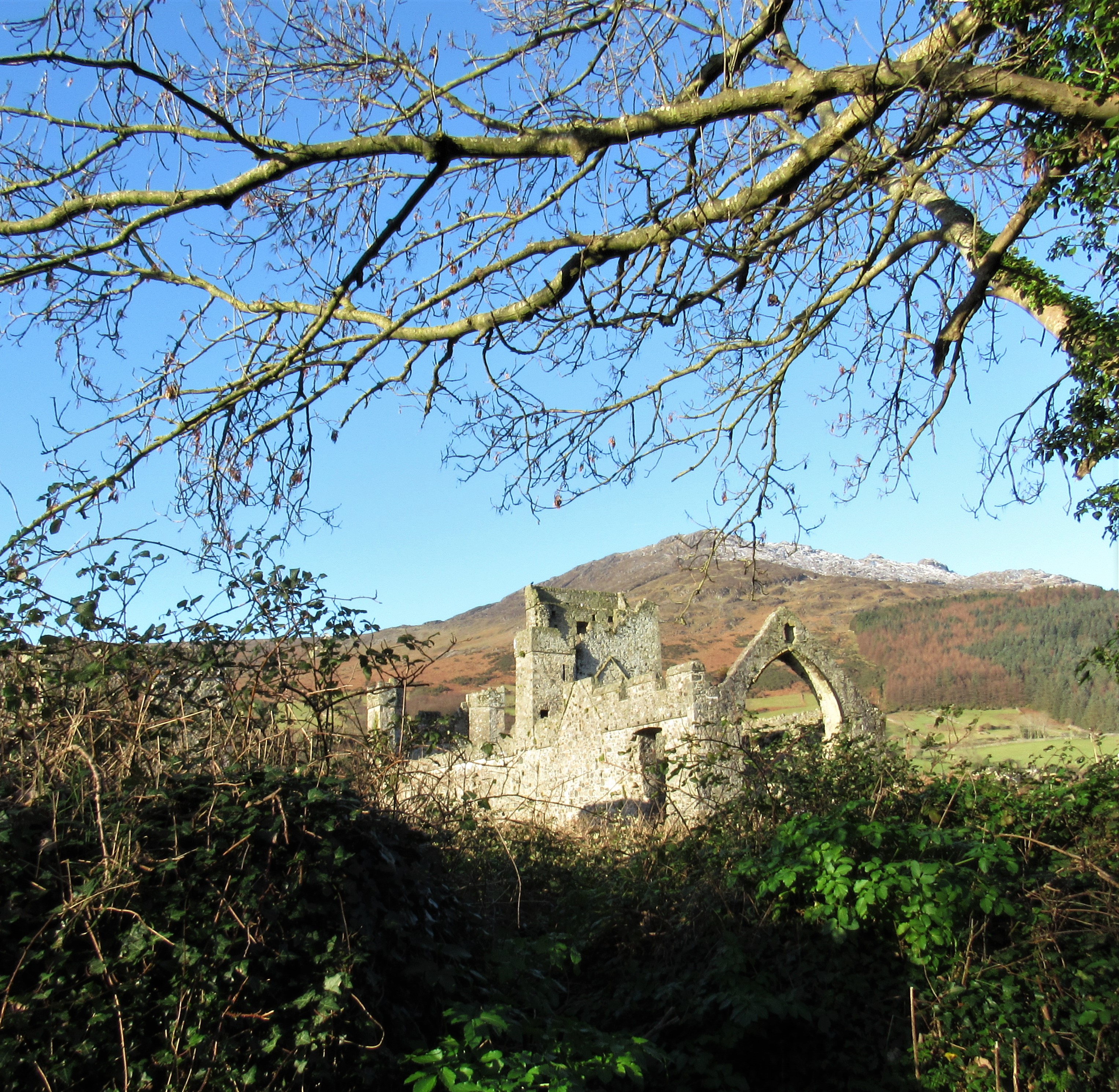 Dominican abbey at Carlingford