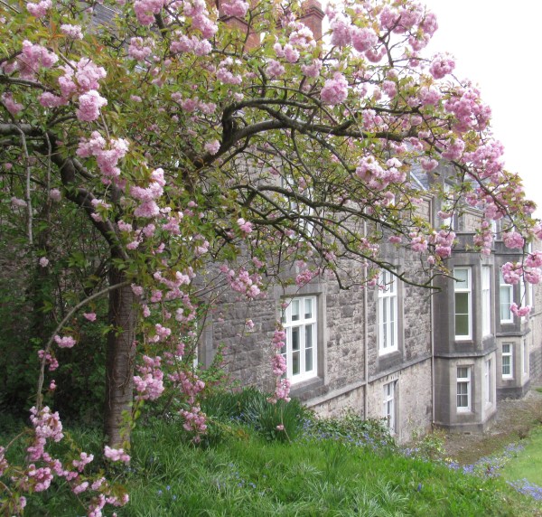 Armagh10