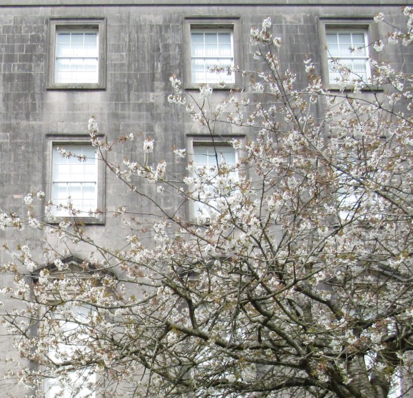 Armagh6