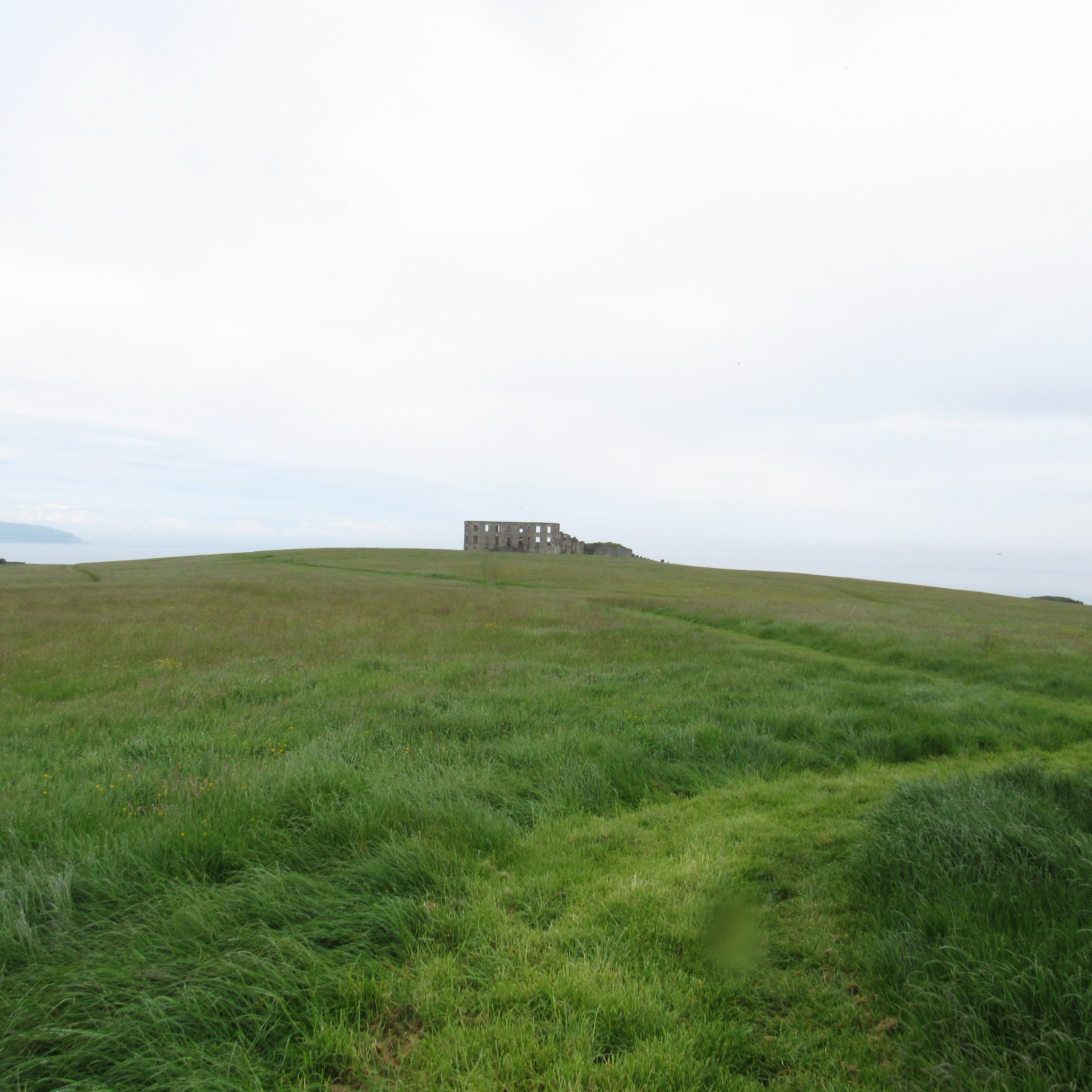 Downhill Demesne