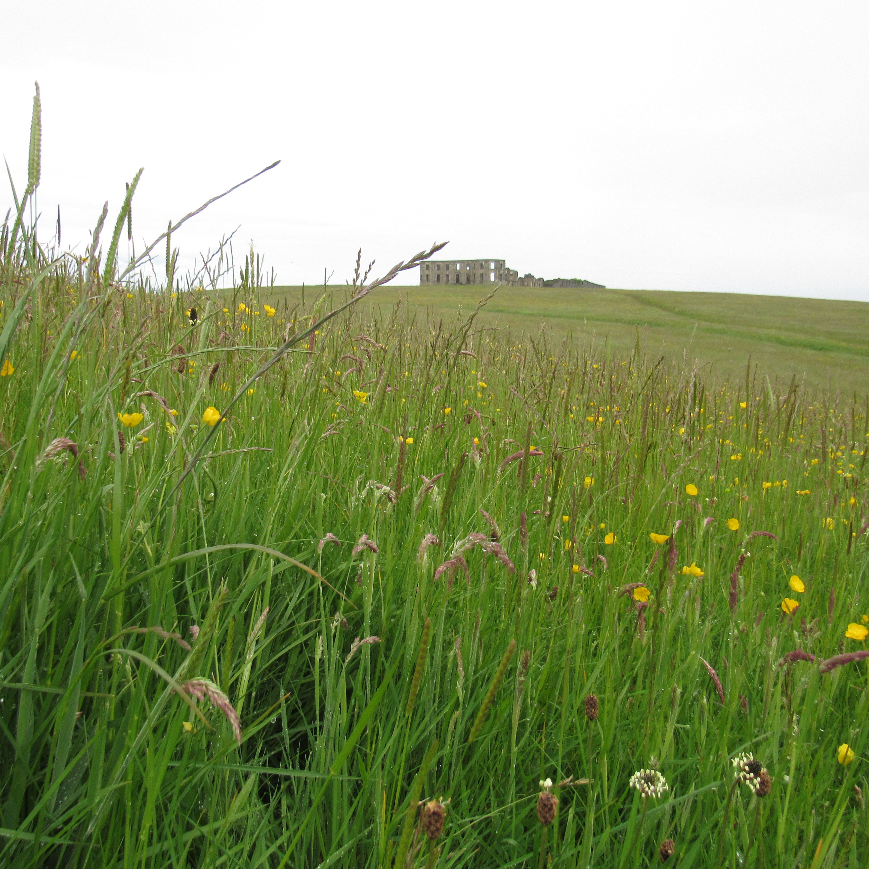 Downhill House