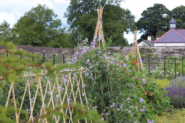 Hillsborough Castle and Gardens 10