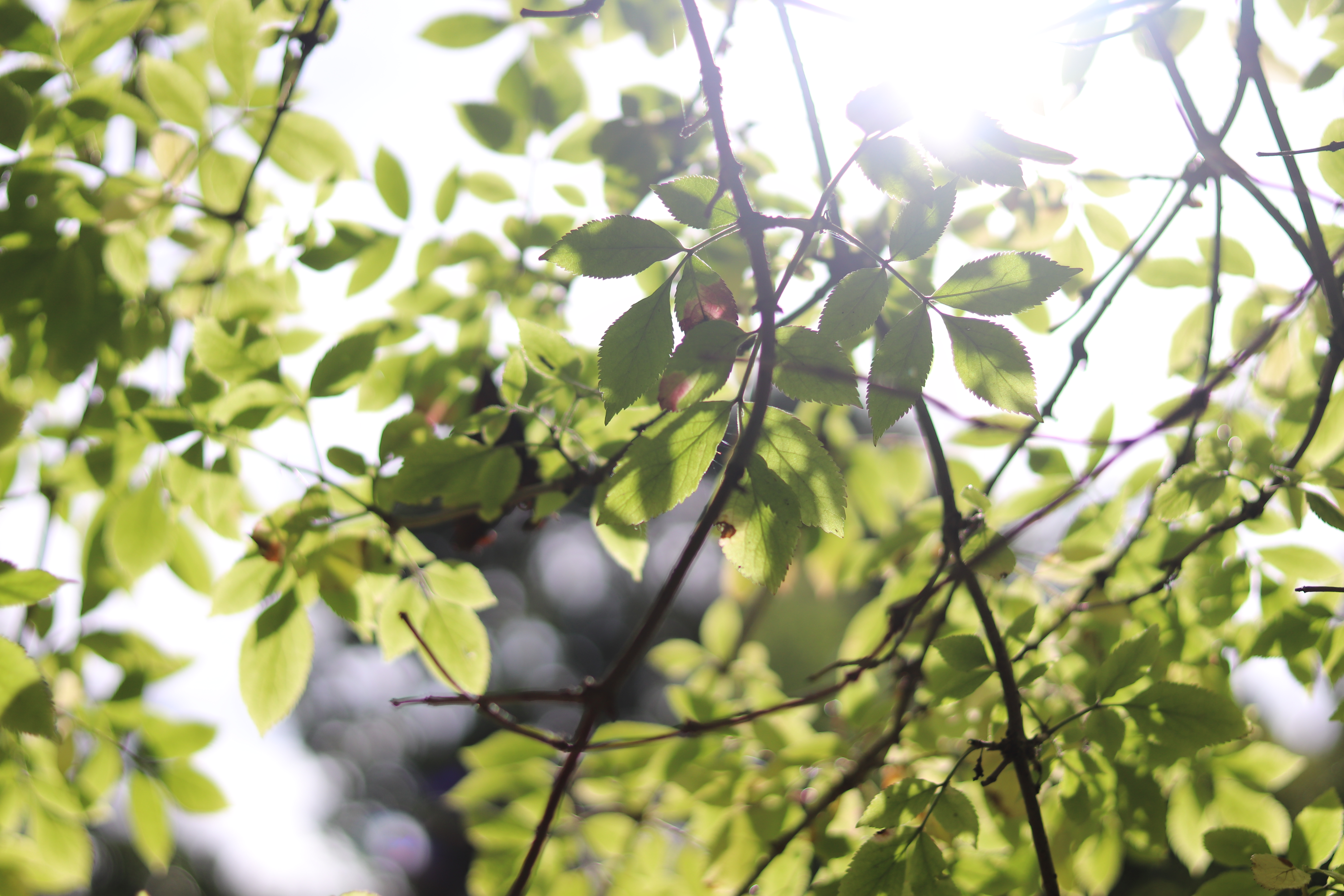 moments from September