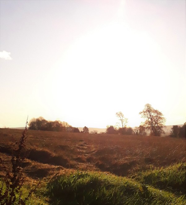 November