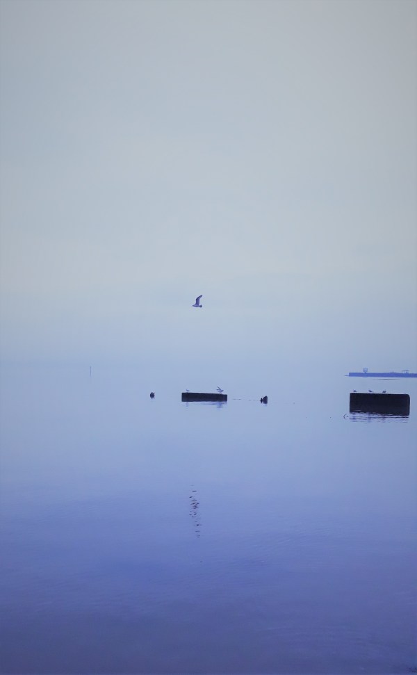 the magic of December