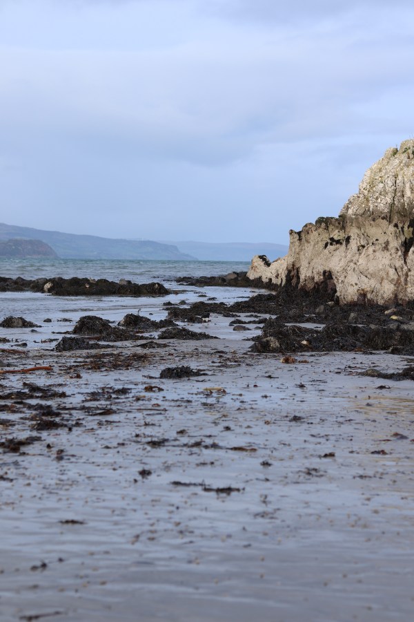 Brown's Bay Islandmagee