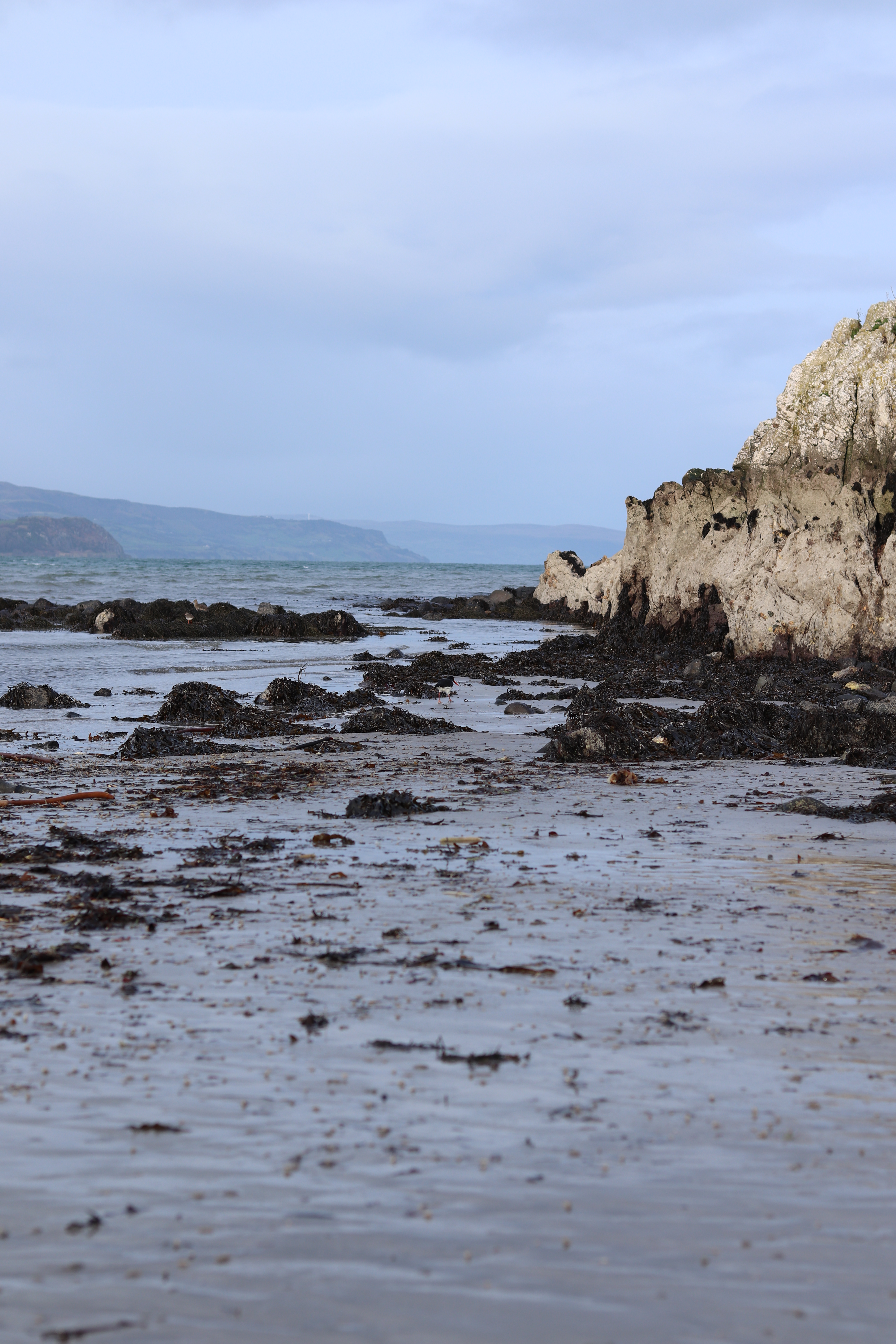 Brown's Bay Islandmagee