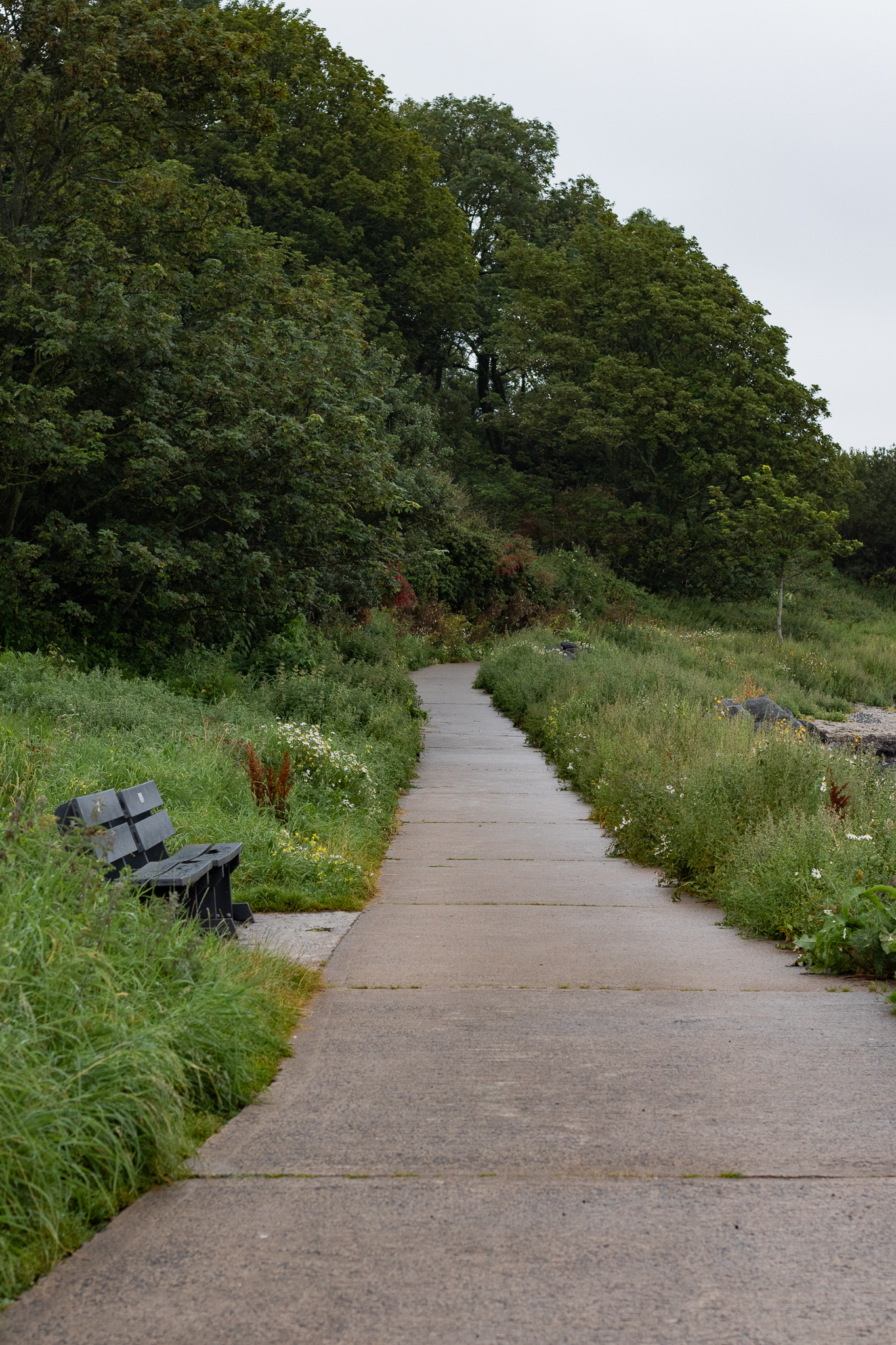 Blackhead Path