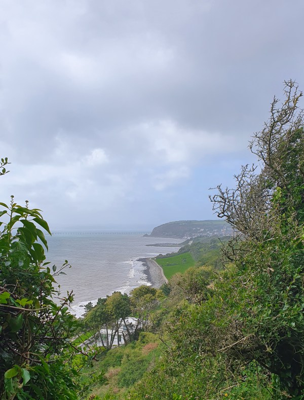 a view from Blackhead Lighthouse
