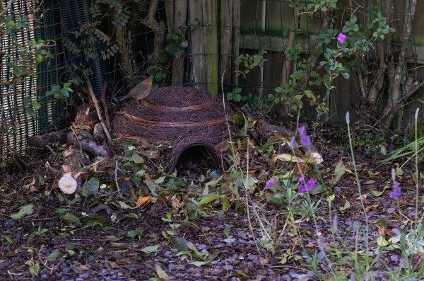 hedgehog house