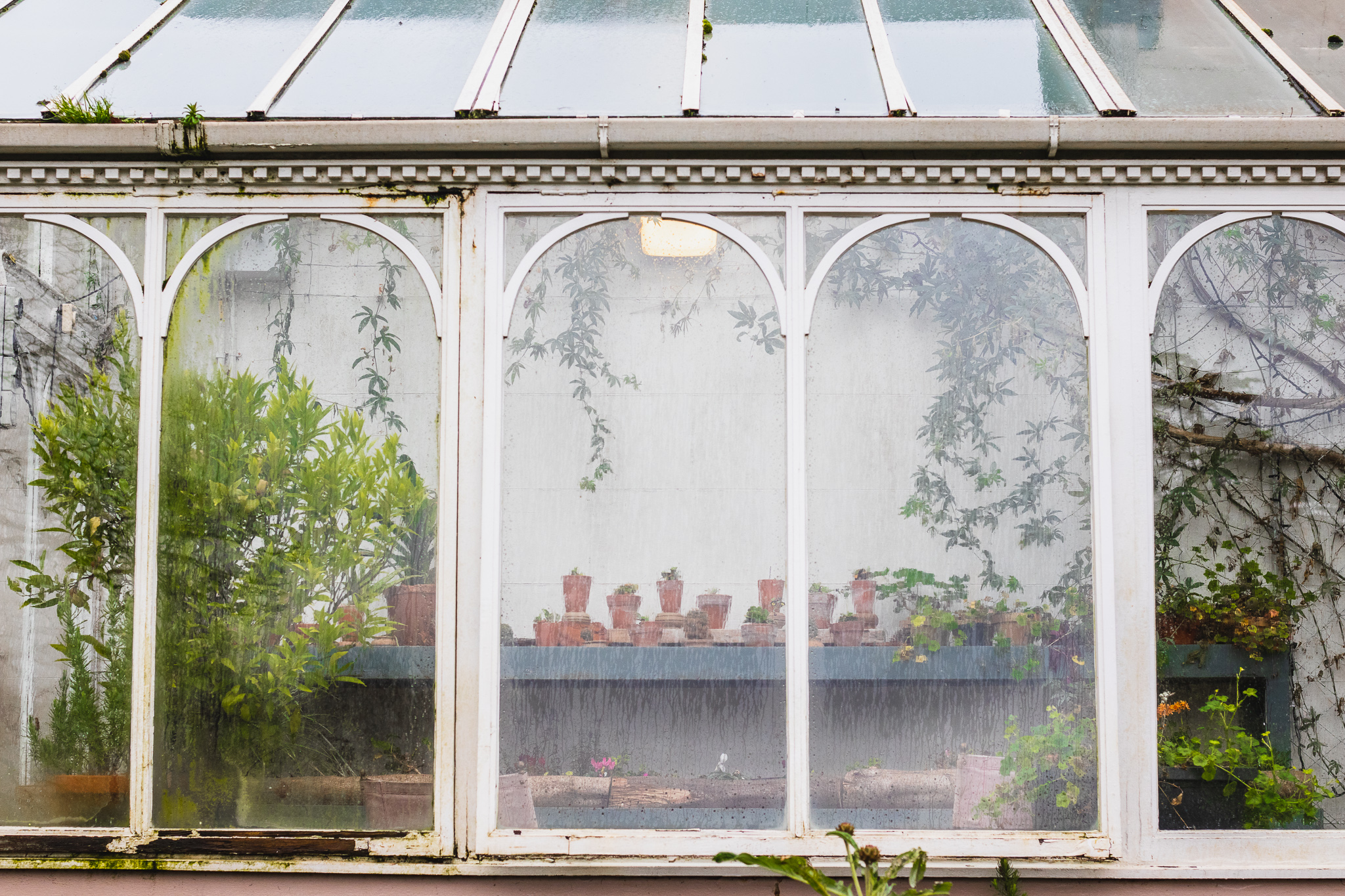 The glass house at HIllsborough Castle Gardens