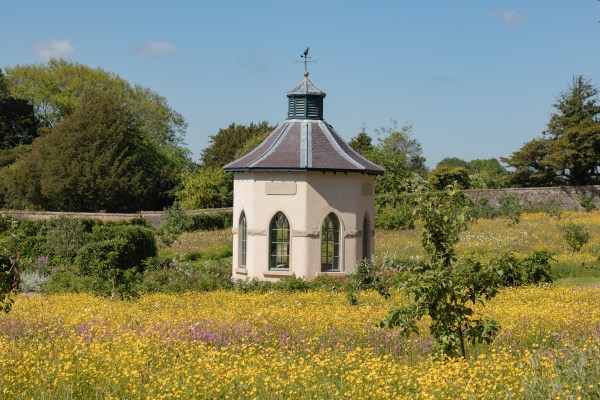 wildflower meadow Hillsborough Castle Gardens