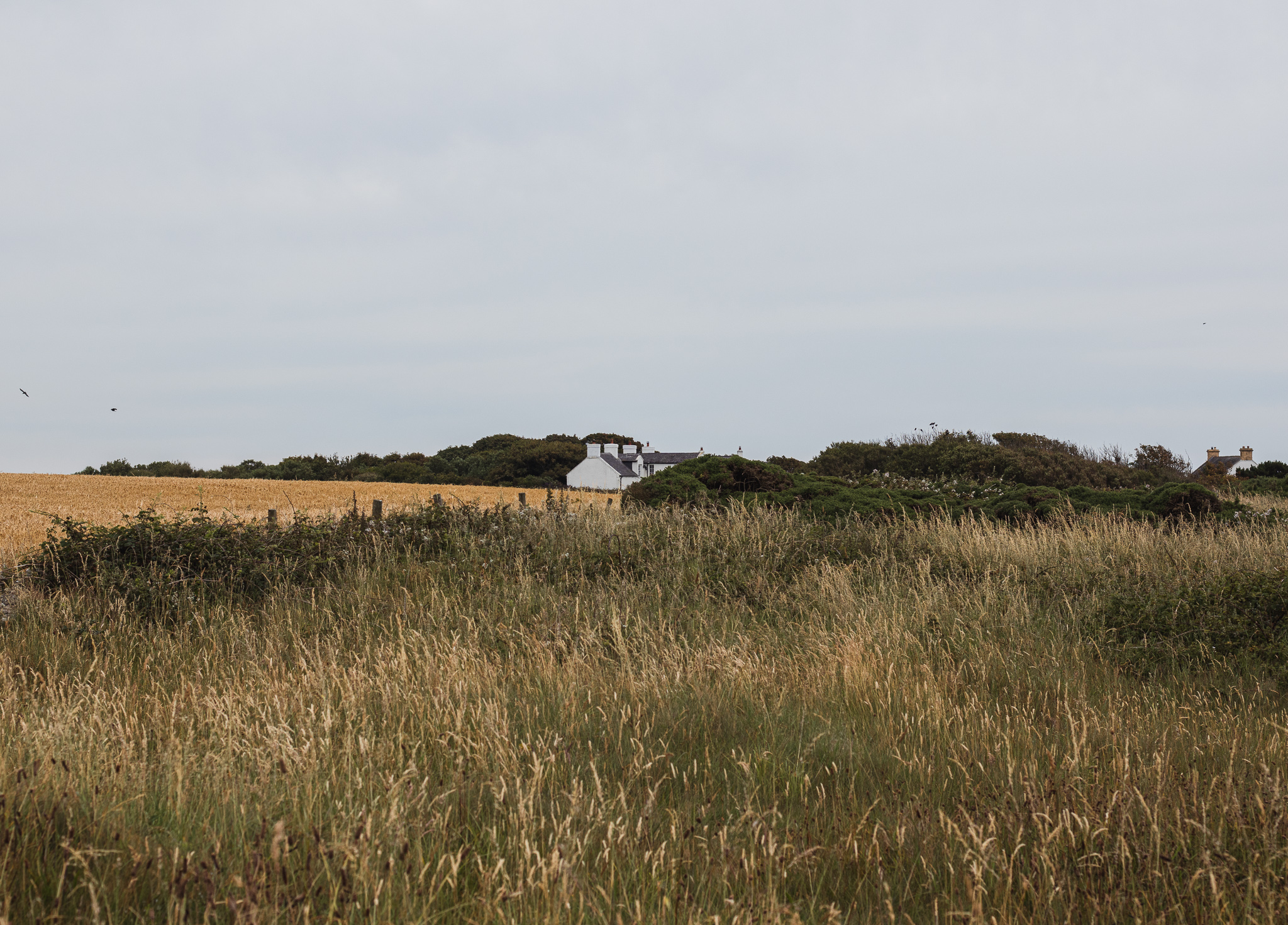 a house in Kearney village