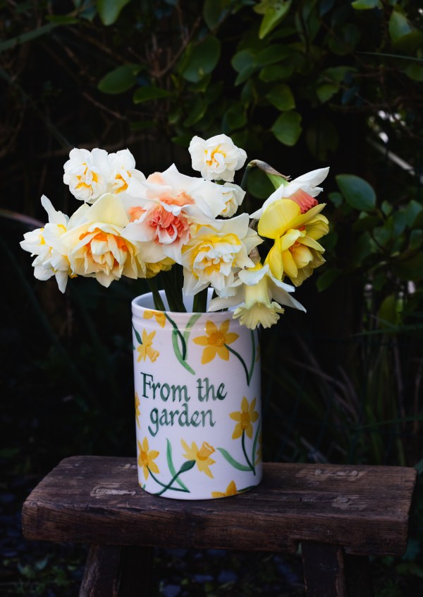 daffodils in a vase