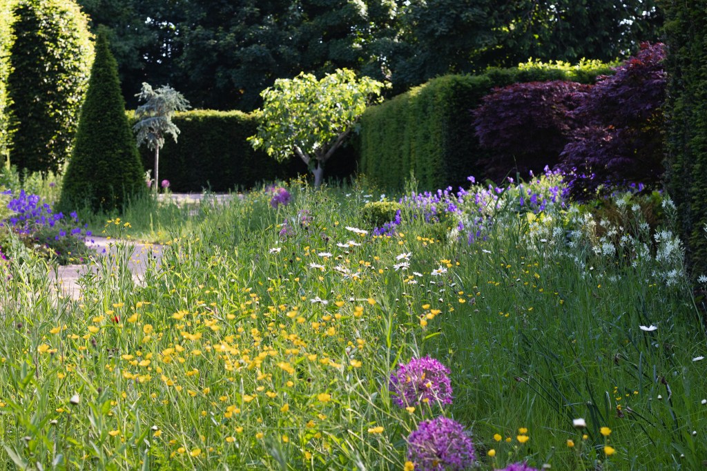 The Coronation Garden, Newtownabbey