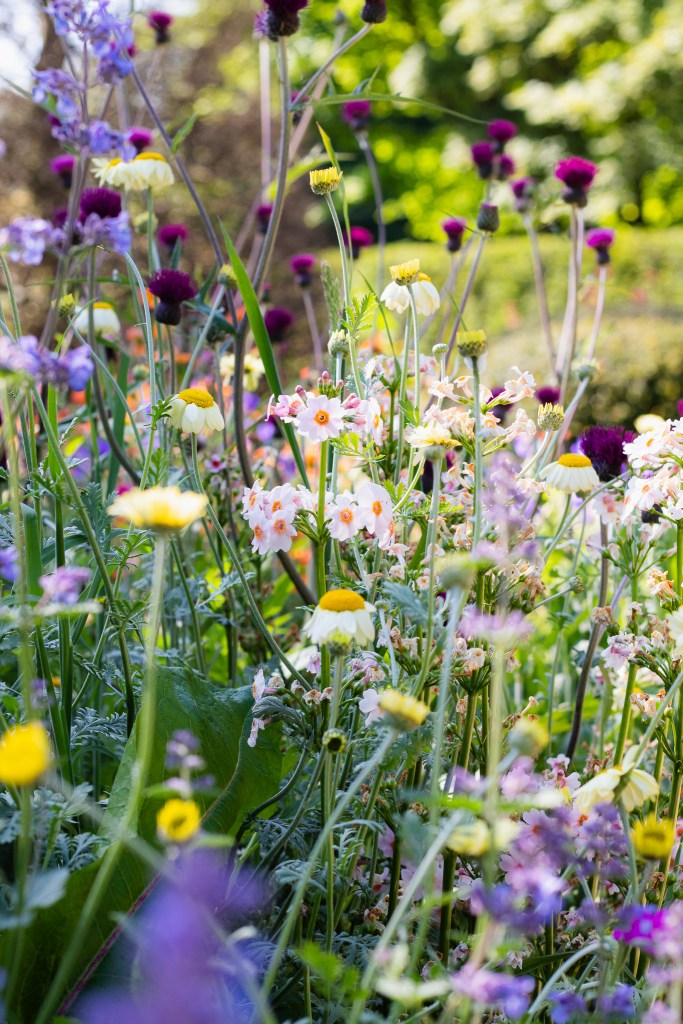 The Coronation Garden, Newtownabbey