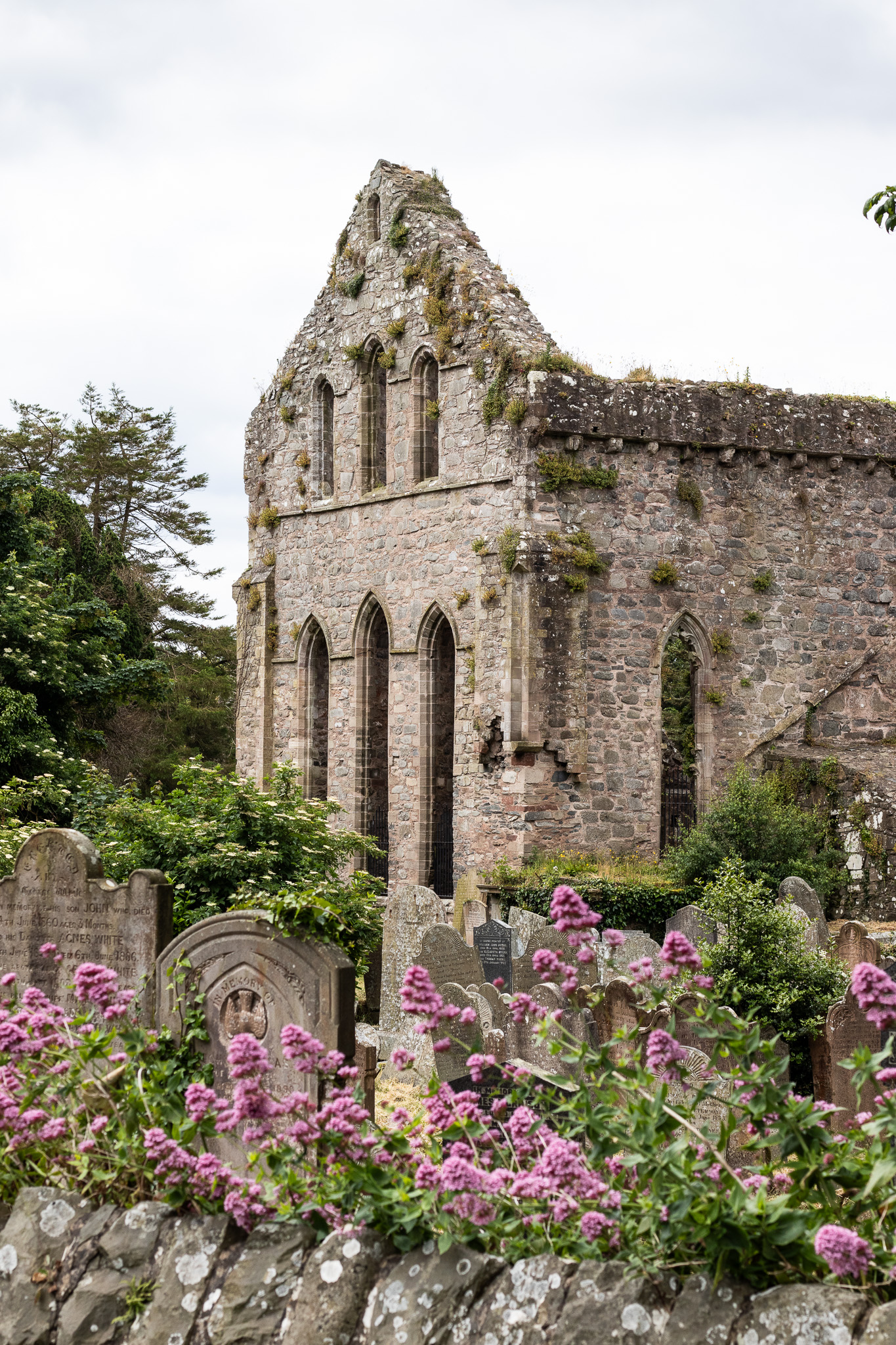 The Cistercian abbey at Greyabbey