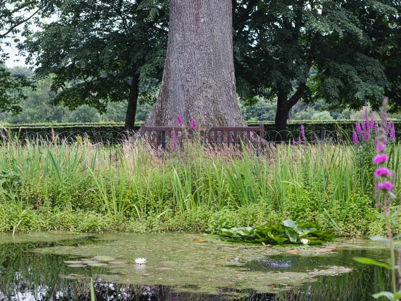 the pond at Gracehill village