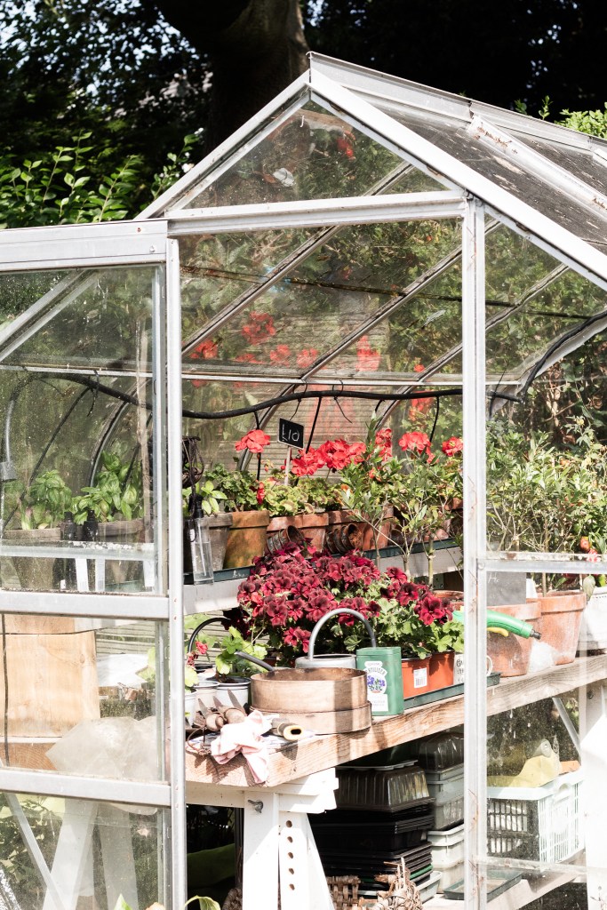 plants for sale at Portland Avenue Lifestyle studio